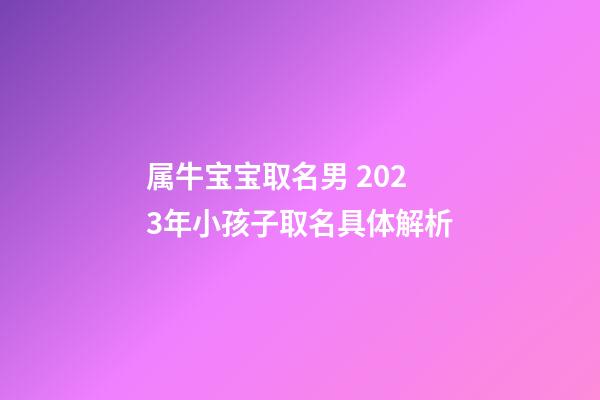 属牛宝宝取名男 2023年小孩子取名具体解析